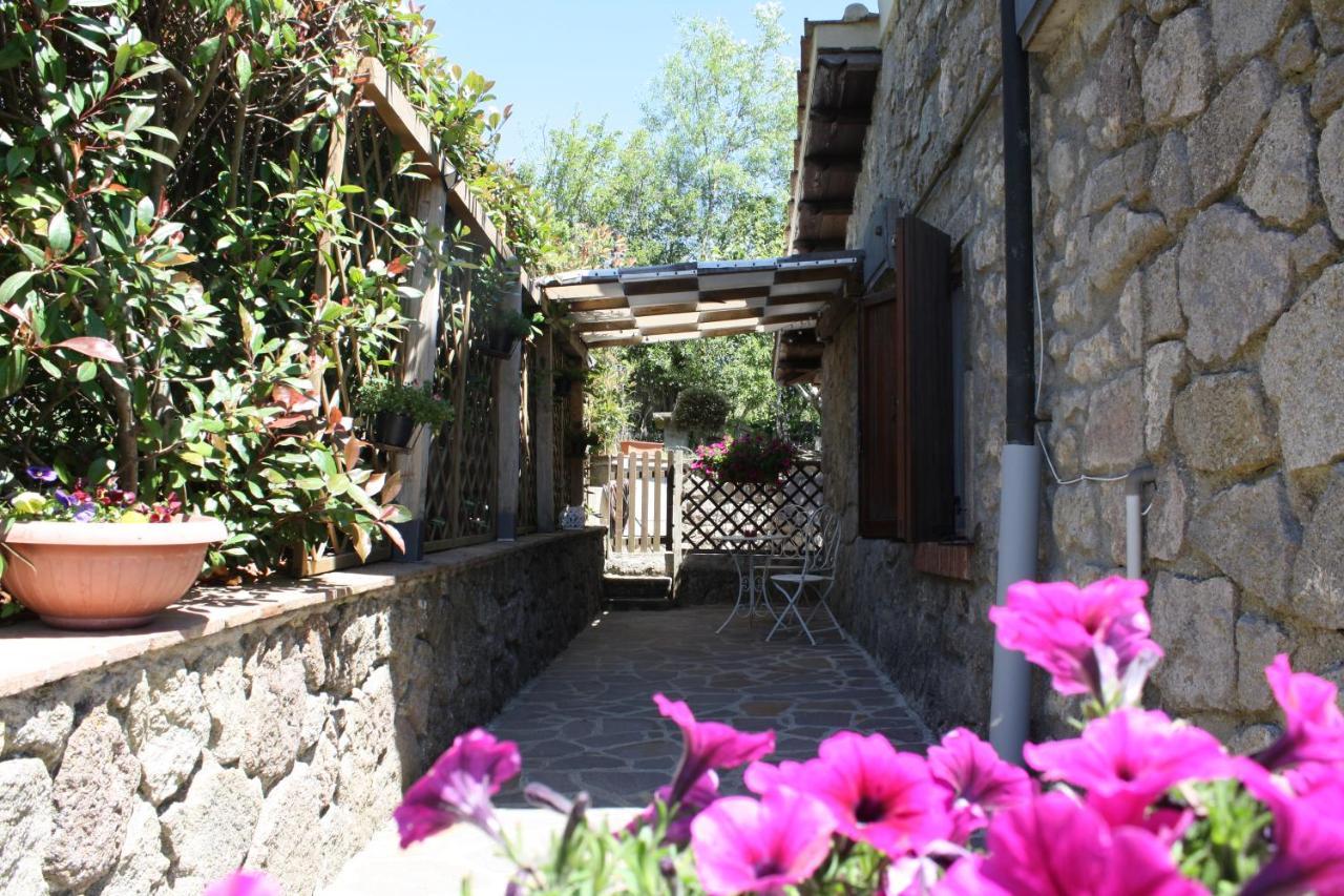 Agriturismo Biagiotti Abbadia San Salvator Buitenkant foto
